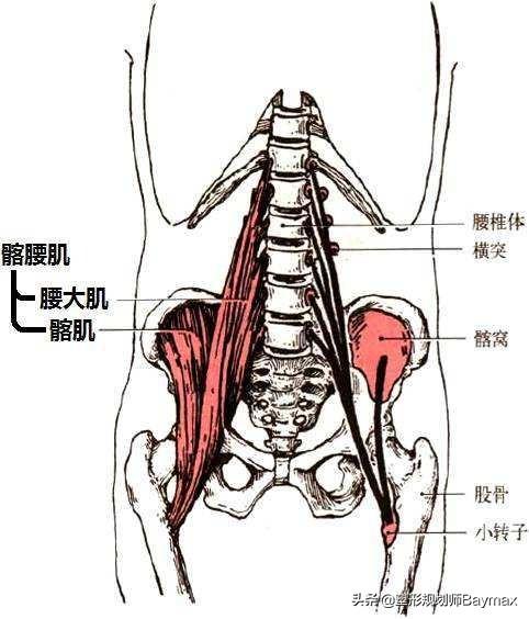 3个拉伸动作防腰肌劳损3个拉伸动作防腰肌劳损吗