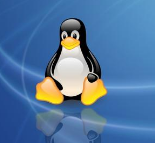 Ȳϵͳ20 Linuxа
