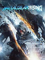 Ͻװ𣺸Metal Gear Rising: Revengeance޸v1.0