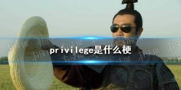 privilege是什么梗privilege文学介绍