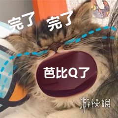 完了芭比q了表情包完了芭比q了是什么意思完了芭比q了原视频