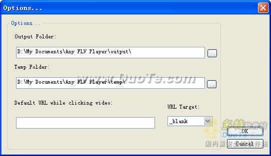 Any FLV Player