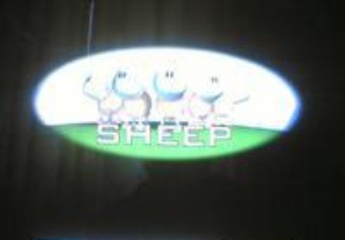 ռ(Sheep)