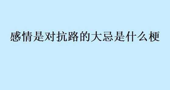 感情是对抗路的大忌什么意思  感情是对抗路的大忌,所以我腻了去玩玩