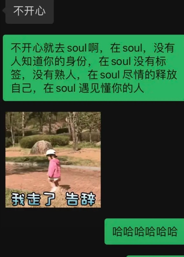 骂soul的表情包图片