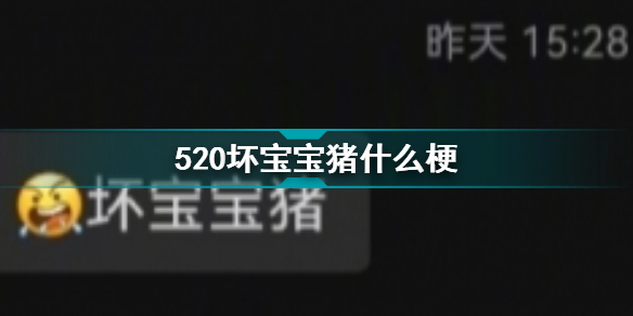 520坏宝宝猪：是什么、什么梗、事情介绍