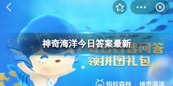 海兔是指以下哪个生物？神奇海洋8月25日答案最新