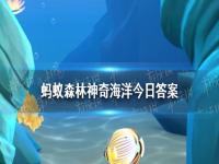 浮游软体动物“海天使”长着一对“天使翅膀”，猜猜它的学名叫 神奇海洋9月14日答案最新