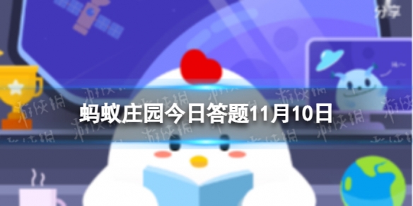 为什么冬天买的柿饼白霜更多 蚂蚁庄园11.10答案最新