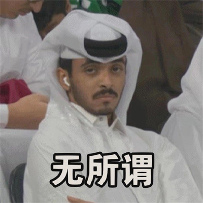卡塔尔王子 世界杯 世界杯卡塔尔王子表情包 王子emo居然还有钱解决不了的问题