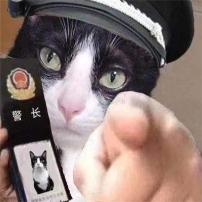 沙雕熊猫人警察图片