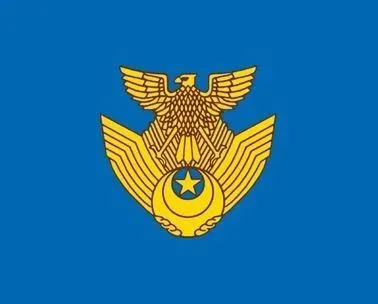 空軍(朝鮮人民軍航空與反航空軍),戰略軍,特種作戰軍和工農赤衛軍