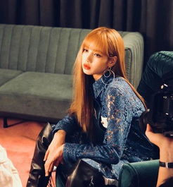 Lisa2023˳yg