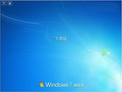 windows7콢