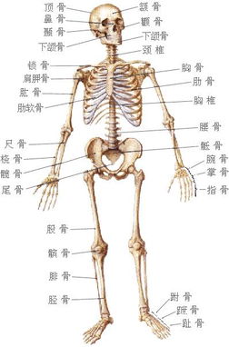 4쳣˵ͷѱ_4쳣˵ͷѱ | 10Բ