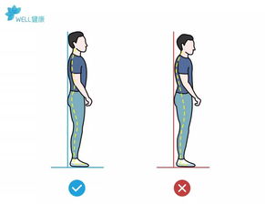 颈椎前倾如星空体育app何矫正_躺着怎么改善驼背和脖子前倾(图1)