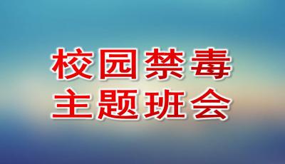 关于禁毒主题班会的名称_2015年星空体育官网登录入口青少年禁毒工程叫什么工程(图1)