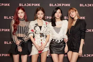 BLACKPINK8ºǩ_BLACKPINK 8 ºع飬ȫ˿