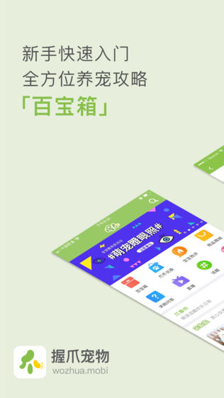 握爪