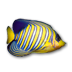 С㶯̬