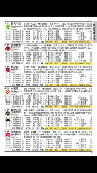 Winner (Chinese)