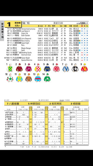 Winner (Chinese)