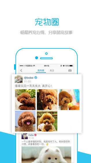 宠物时间