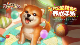 小汪汪