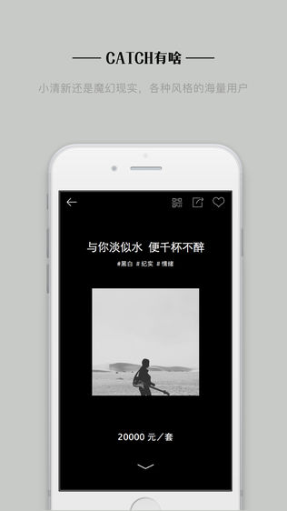 Catchͼ1