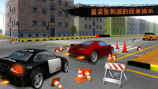疯狂警察追捕公路赛车手
