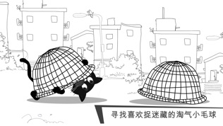 猫咪出游