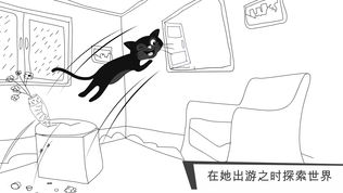 猫咪出游