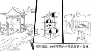 猫咪出游