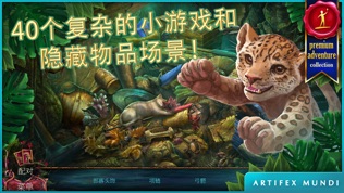 秘密组织6:血统
