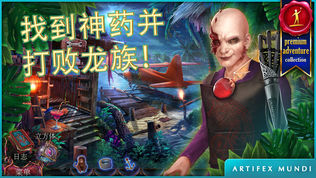 秘密组织6:血统