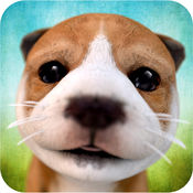  Dog Simulator