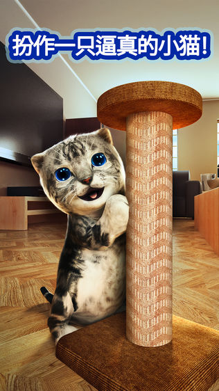 Cat Simulator 2015