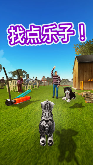 Cat Simulator 2015