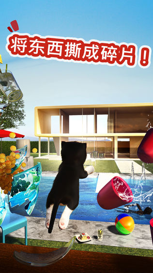 Cat Simulator 2015