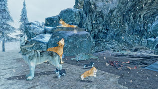 Life of Snow Wolf