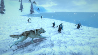 Life of Snow Wolf