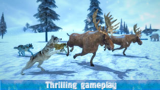 Life of Snow Wolf
