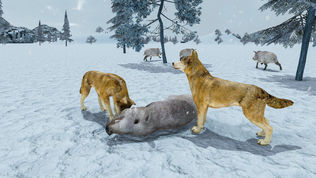 Life of Snow Wolf