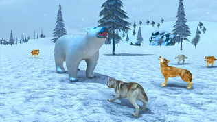 Life of Snow Wolf