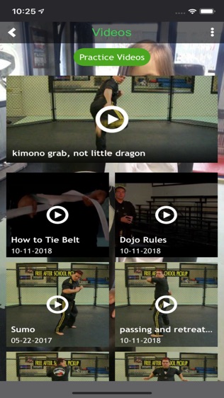 Lees Karate Inc