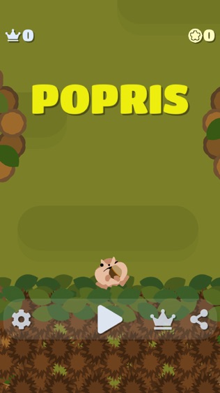 POPRISͼ0