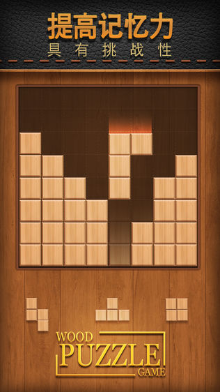 Wood Puzzle