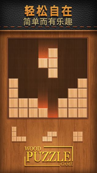 Wood Puzzle