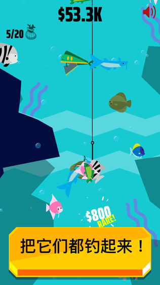 Go Fish!