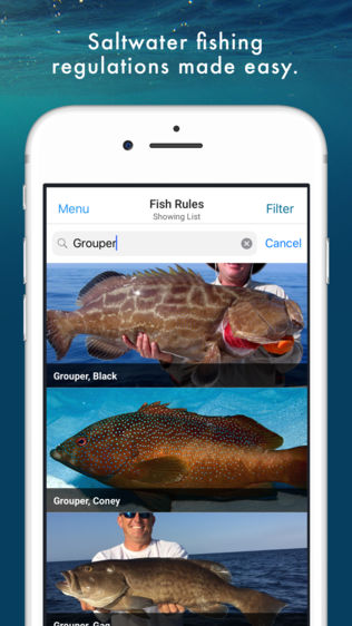 Fish Rules